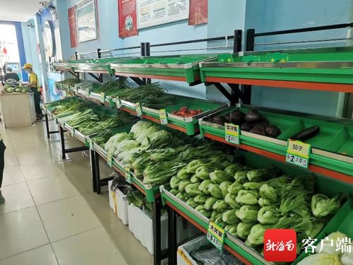 3000噸儲(chǔ)量確保國(guó)慶期間海口蔬菜 貨足價(jià)穩(wěn)