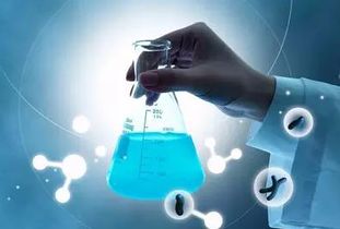 柳橙網(wǎng)最新留學(xué)動(dòng)態(tài) 一網(wǎng)打盡留學(xué)就業(yè)、流程與資訊（123頁全解析）